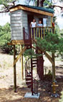 spiral stair kit climbing up to an awesome treehouse