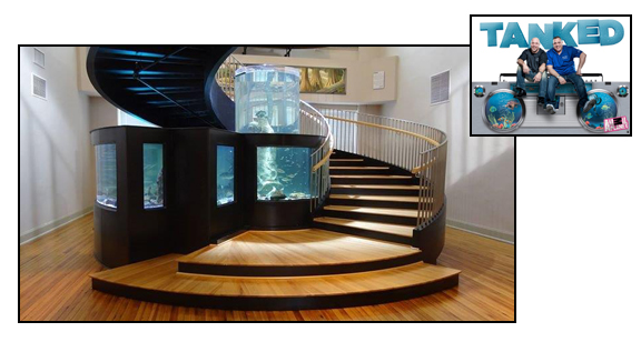 Curved Staircase at Horry County Museum on the TV show "Tanked"